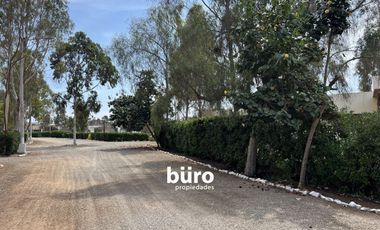 PRECIOSO TERRENO DE CAMPO EN VENTA, CONDOMINIO EL OLIVAR, PUCUSANA
