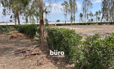 PRECIOSO TERRENO DE CAMPO EN VENTA, CONDOMINIO EL OLIVAR, PUCUSANA