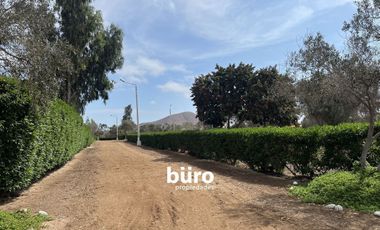 PRECIOSO TERRENO DE CAMPO EN VENTA, CONDOMINIO EL OLIVAR, PUCUSANA