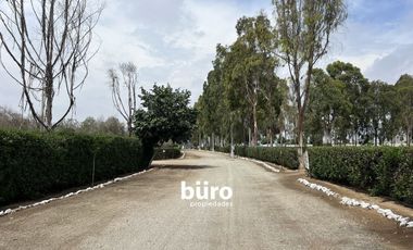 PRECIOSO TERRENO DE CAMPO EN VENTA, CONDOMINIO EL OLIVAR, PUCUSANA