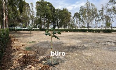 PRECIOSO TERRENO DE CAMPO EN VENTA, CONDOMINIO EL OLIVAR, PUCUSANA