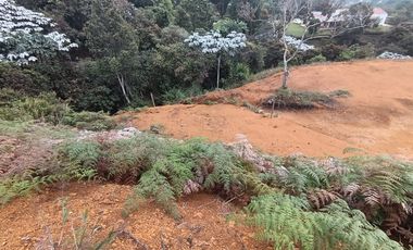 Terreno en Venta Ubicado en Guarne Codigo 2021