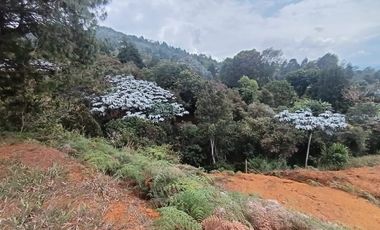 Terreno en Venta Ubicado en Guarne Codigo 2021