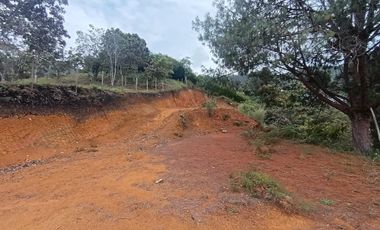Terreno en Venta Ubicado en Guarne Codigo 2021