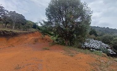 Terreno en Venta Ubicado en Guarne Codigo 2021