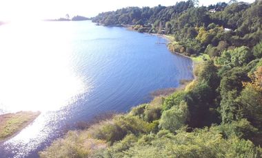 Hermosa parcela con orilla y vista al lago Llanquihue