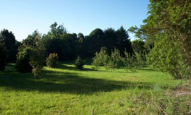 Hermosa parcela con orilla y vista al lago Llanquihue