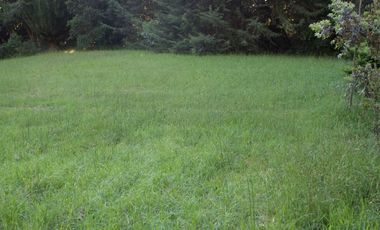 Hermosa parcela con orilla y vista al lago Llanquihue