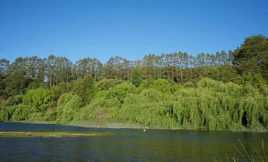 Hermosa parcela con orilla y vista al lago Llanquihue