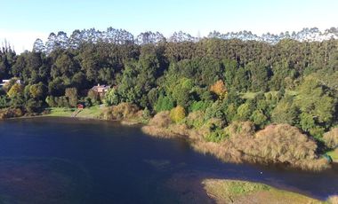 Hermosa parcela con orilla y vista al lago Llanquihue