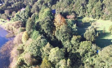 Hermosa parcela con orilla y vista al lago Llanquihue