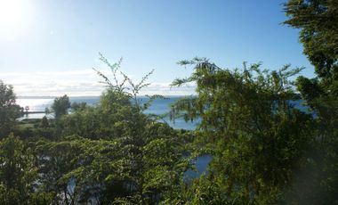 Hermosa parcela con orilla y vista al lago Llanquihue
