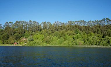 Hermosa parcela con orilla y vista al lago Llanquihue
