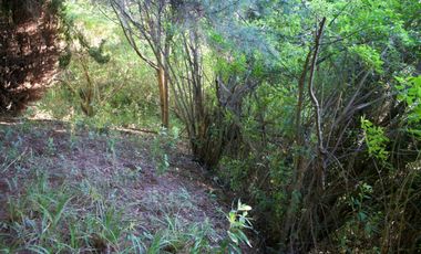 Hermosa parcela con orilla y vista al lago Llanquihue