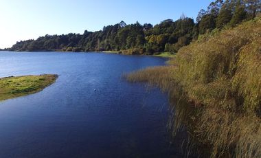 Hermosa parcela con orilla y vista al lago Llanquihue