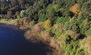 Hermosa parcela con orilla y vista al lago Llanquihue