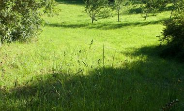 Hermosa parcela con orilla y vista al lago Llanquihue