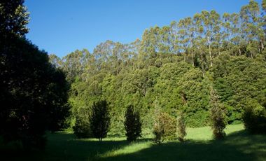 Hermosa parcela con orilla y vista al lago Llanquihue