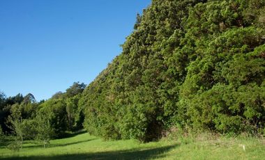 Hermosa parcela con orilla y vista al lago Llanquihue