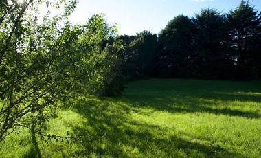 Hermosa parcela con orilla y vista al lago Llanquihue