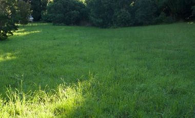Hermosa parcela con orilla y vista al lago Llanquihue
