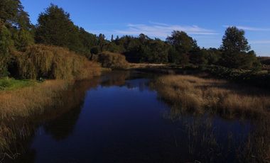 Hermosa parcela con orilla y vista al lago Llanquihue