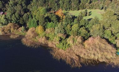 Hermosa parcela con orilla y vista al lago Llanquihue