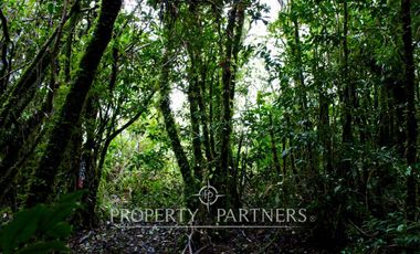 Oportunidad: Precioso terreno de 33,3 ha con vegetación nativa y vistas impactantes al océano Pacífico