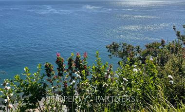 Oportunidad: Precioso terreno de 33,3 ha con vegetación nativa y vistas impactantes al océano Pacífico