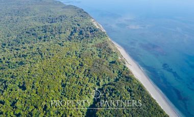 Oportunidad: Precioso terreno de 33,3 ha con vegetación nativa y vistas impactantes al océano Pacífico
