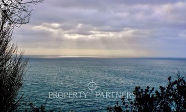 Oportunidad: Precioso terreno de 33,3 ha con vegetación nativa y vistas impactantes al océano Pacífico