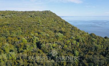 Oportunidad: Precioso terreno de 33,3 ha con vegetación nativa y vistas impactantes al océano Pacífico