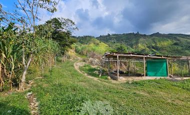 ARRIENDO de FINCAS en GIRARDOTA