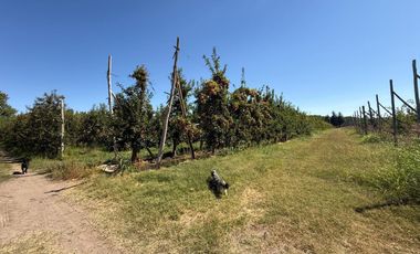 Chacra en venta 15,60 HA - San Patricios del Chañar
