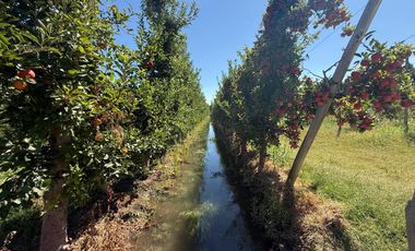 Chacra en venta 15,60 HA - San Patricios del Chañar