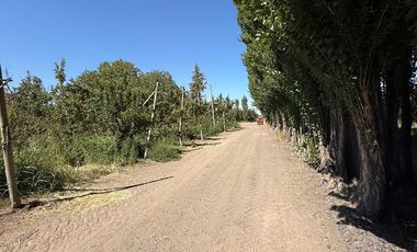 Chacra en venta 15,60 HA - San Patricios del Chañar