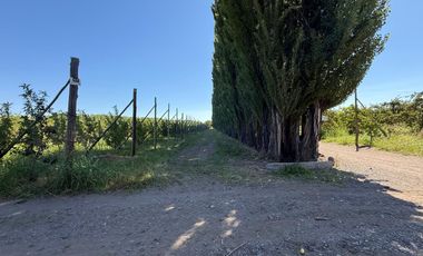 Chacra en venta 15,60 HA - San Patricios del Chañar
