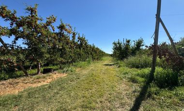 Chacra en venta 15,60 HA - San Patricios del Chañar