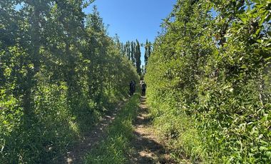 Chacra en venta 15,60 HA - San Patricios del Chañar