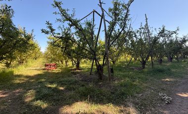 Chacra en venta 15,60 HA - San Patricios del Chañar