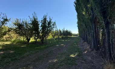 Chacra en venta 15,60 HA - San Patricios del Chañar