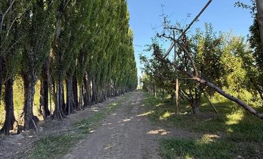 Chacra en venta 15,60 HA - San Patricios del Chañar