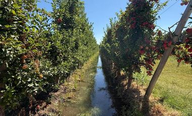 Chacra en venta 15,60 HA - San Patricios del Chañar