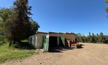 Chacra en venta 15,60 HA - San Patricios del Chañar