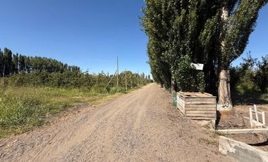 Chacra en venta 15,60 HA - San Patricios del Chañar