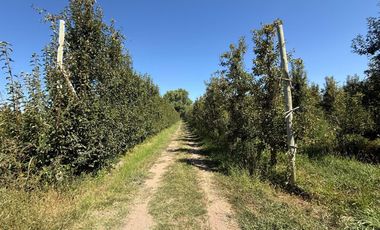 Chacra en venta 15,60 HA - San Patricios del Chañar