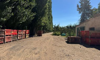 Chacra en venta 15,60 HA - San Patricios del Chañar
