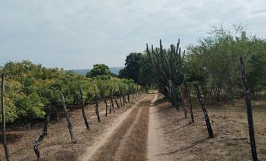 RANCHO EN GALECIO NARCIA, CHIAPA DE CORZO