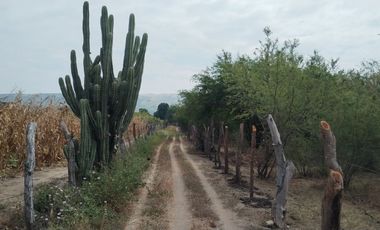RANCHO EN GALECIO NARCIA, CHIAPA DE CORZO