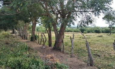 RANCHO EN GALECIO NARCIA, CHIAPA DE CORZO